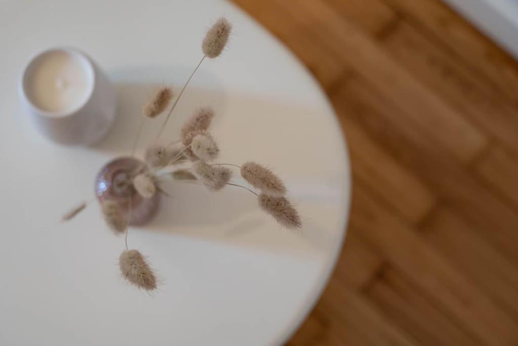 La Praline, Studio Coeur Ville 안세 외부 사진